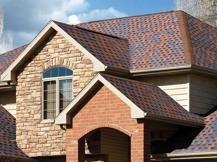 BTM Shingle Dragon