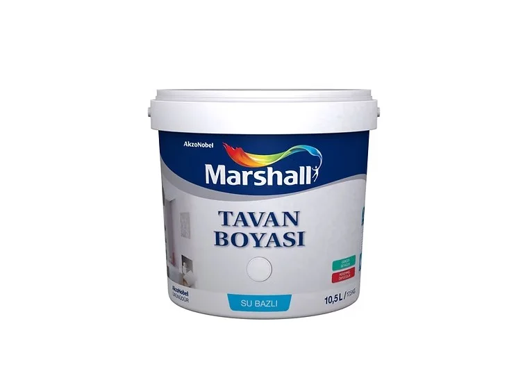 Tavan Boyası